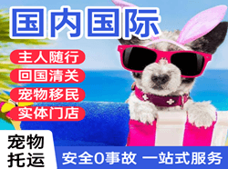 大兴空运地址国际宠物托运 【国